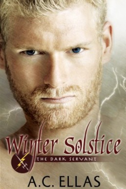 Winter Solstice (The Dark Servant 0.5)