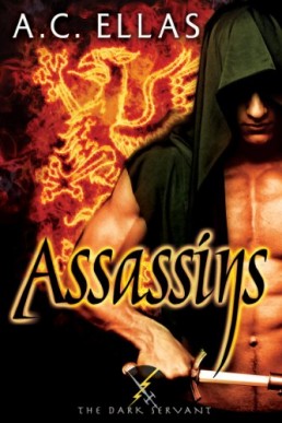 Assassins (The Dark Servant 6)