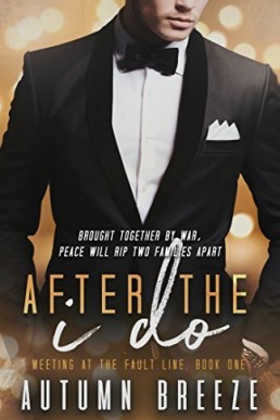 After the I Do (Meeting at the Fault Line #1)