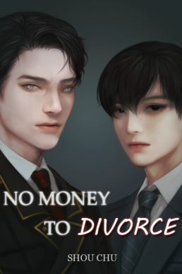 No Money to Divorce