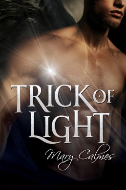 Trick Of Light (Warders 7)