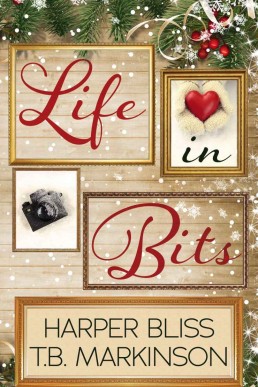 Life in Bits: A Lesbian Christmas Romance