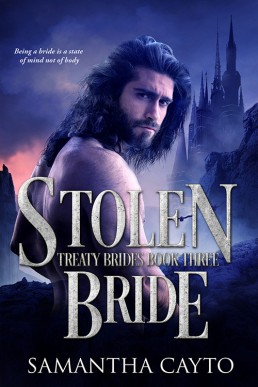 Stolen Bride (Treaty Brides 3)
