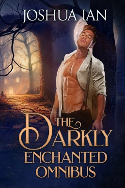 The Darkly Enchanted Omnibus: A Gothic Romance Collection, Volume 1 (Books #1-3)