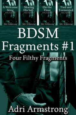 BDSM (Fragments 1)