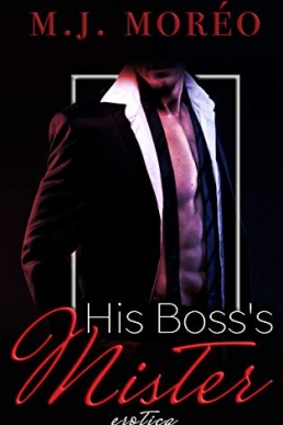 His Boss's Mister