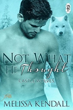 Not What He Thought (Castle Wolves 3)