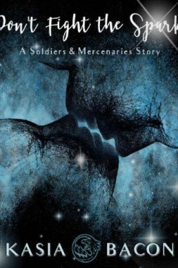 Don't Fight the Spark (Soldiers and Mercenaries #1)