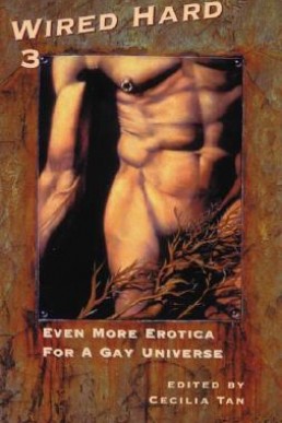 Wired Hard #3 (Even More Erotica for a Gay Universe)