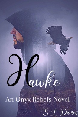 Hawke (Onyx Rebels #2)
