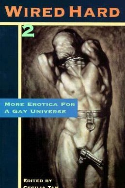 Wired Hard #2 (More Erotica for a Gay Universe)