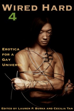 Wired Hard #4 (Erotica for a Gay Universe)
