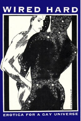Wired Hard #1 (Erotica for a Gay Universe)