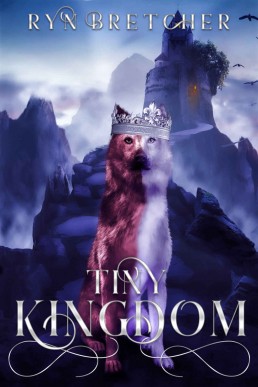 Tiny Kingdom