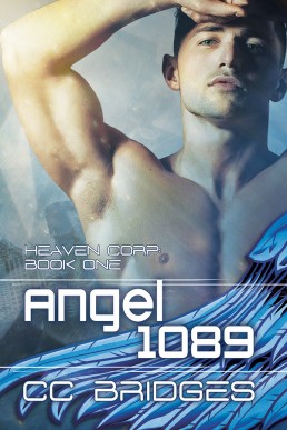 Angel 1089 (Heaven Corp., #1)
