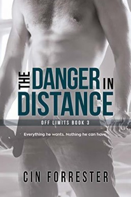 The Danger in the Distance (Off Limits #3)
