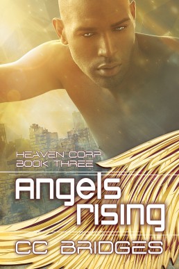 Angel Rising (Heaven Corp., #3)