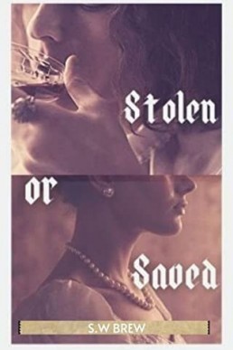 Stolen or Saved (PDF)