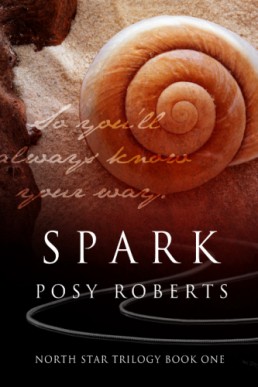 Spark (North Star #1)