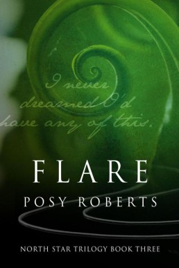 Flare (North Star #3)