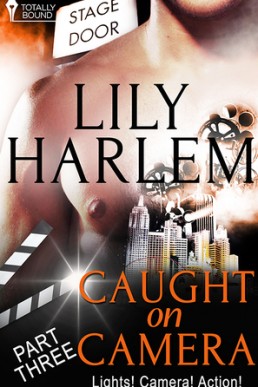 Caught on Camera: Part Three (Caught on Camera Serial #3)