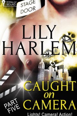 Caught on Camera: Part Five (Caught on Camera Serial #5)