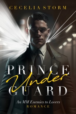 Prince Under Guard: An MM Enemies to Lovers Romance