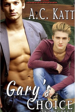 Gary's Choice (Indiscreet 5)