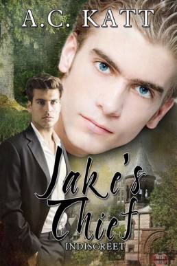 Jake's Thief (Indiscreet 8)