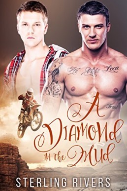 A Diamond in the Mud (Bromance 1)