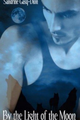 By the Light of the Moon (Assassin/Shifter #3)