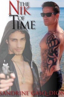 The Nik of Time (Assassin/Shifter #17)