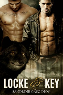 Locke and Key (Assassin/Shifter #24)