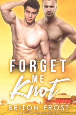 Forget Me Knot (Love in Knot Valley 1)