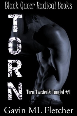 Torn (Torn, Twisted & Tangled #1)