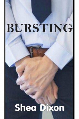 Bursting (PDF)