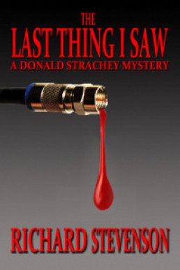 The Last Thing I Saw (Donald Strachey Mystery #13)