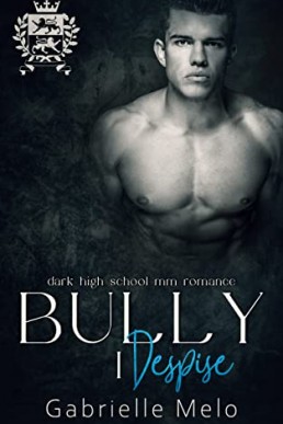 Bully I Despise (Enemies to Lovers Club 5)