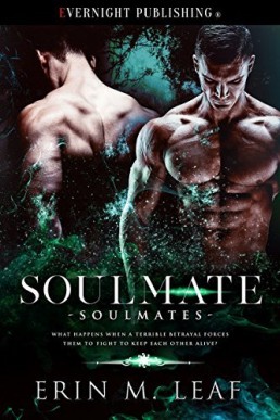 Soulmate (Soulmates 1)