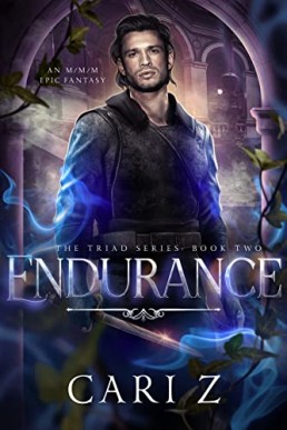 Endurance (The Triad 2)