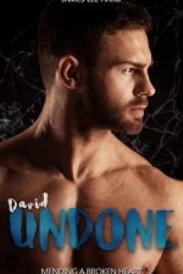 David Undone: Mending a Broken Heart