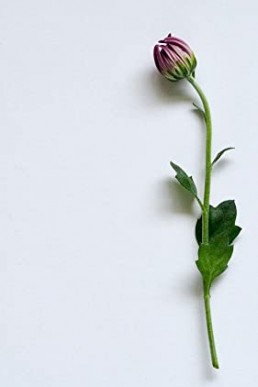 With Her Love (Finding Love Book 2)