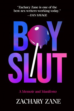 Boyslut (A Memoir and Manifesto)