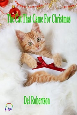 The Cat That Came For Christmas