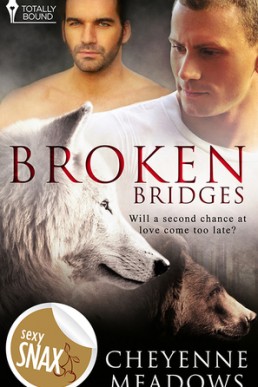 Broken Bridges
