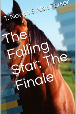 The Falling Star: The Finale