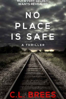 No Place is Safe (A DS Anderson Thriller 1)