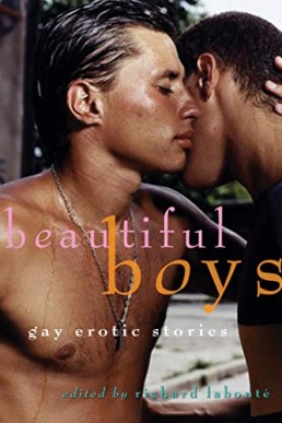 Beautiful Boys (Gay Erotic Stories Anthology)