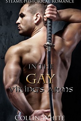 In The Gay Viking's Arms