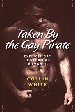 Taken By The Gay Pirate